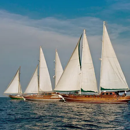 Botel Plaghia Boat & Breakfast 3*